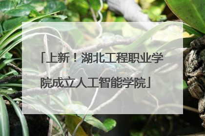 上新！湖北工程职业学院成立人工智能学院