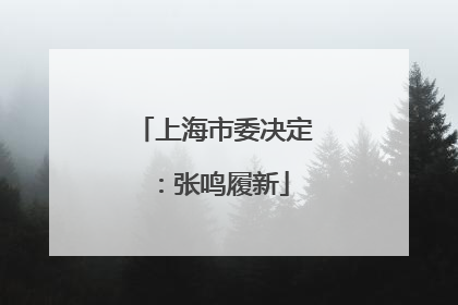 上海市委决定：张鸣履新