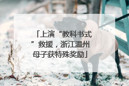 上演“教科书式”救援，浙江温州母子获特殊奖励