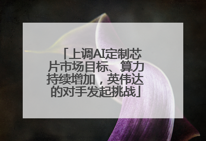 上调AI定制芯片市场目标、算力持续增加，英伟达的对手发起挑战