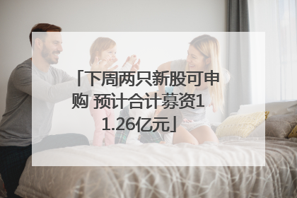 下周两只新股可申购 预计合计募资11.26亿元