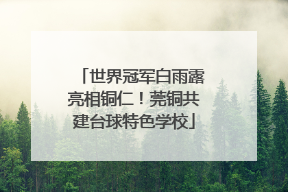 世界冠军白雨露亮相铜仁！莞铜共建台球特色学校