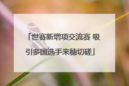世赛新增项交流赛 吸引多国选手来穗切磋