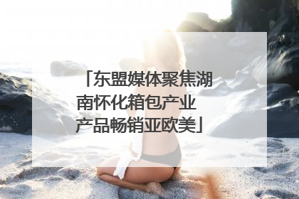 东盟媒体聚焦湖南怀化箱包产业 产品畅销亚欧美