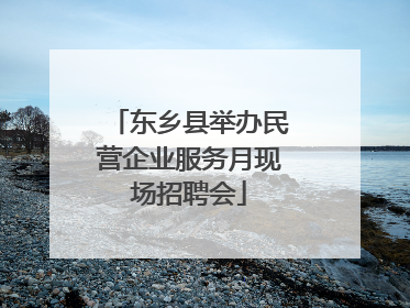 东乡县举办民营企业服务月现场招聘会