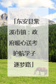东安县紫溪市镇：政府暖心送考 护航学子逐梦路