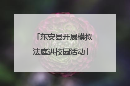 东安县开展模拟法庭进校园活动