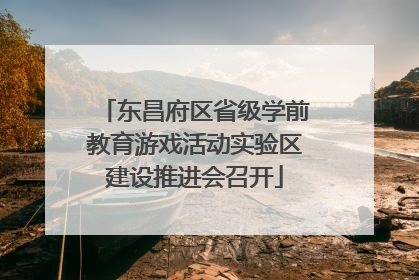 东昌府区省级学前教育游戏活动实验区建设推进会召开