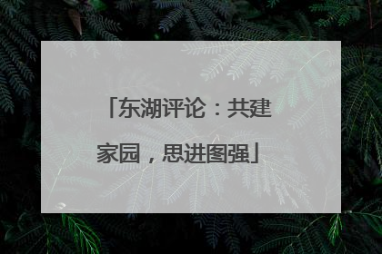 东湖评论：共建家园，思进图强