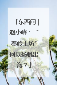 东西问｜赵小峰：“秦岭工坊”何以扬帆出海？