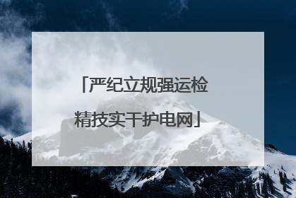 严纪立规强运检 精技实干护电网