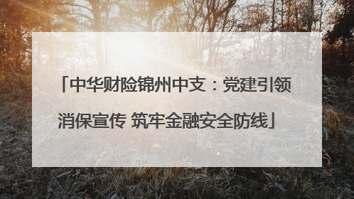 中华财险锦州中支：党建引领消保宣传 筑牢金融安全防线