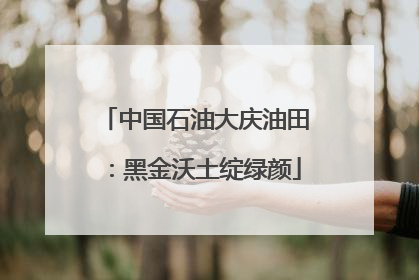 中国石油大庆油田：黑金沃土绽绿颜