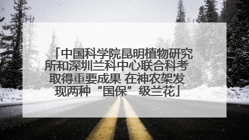 中国科学院昆明植物研究所和深圳兰科中心联合科考取得重要成果 在神农架发现两种“国保”级兰花