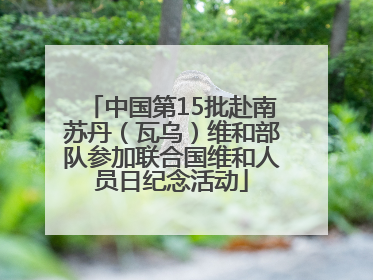 中国第15批赴南苏丹（瓦乌）维和部队参加联合国维和人员日纪念活动