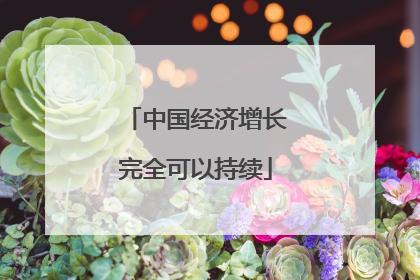 中国经济增长完全可以持续