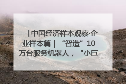 中国经济样本观察·企业样本篇｜“智造”10万台服务机器人，“小巨人”擎朗有大梦想