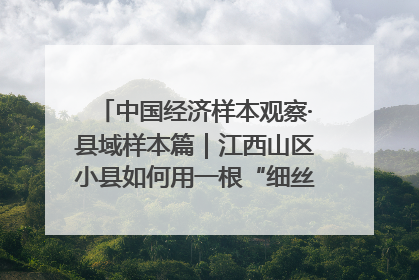 中国经济样本观察·县域样本篇｜江西山区小县如何用一根“细丝”拉出百亿级产业？