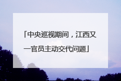中央巡视期间，江西又一官员主动交代问题