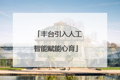 丰台引入人工智能赋能心育