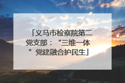义马市检察院第二党支部：“三维一体”党建融合护民生