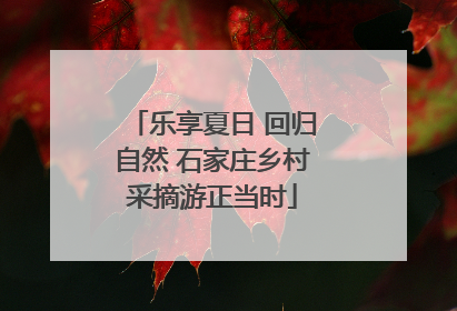 乐享夏日 回归自然 石家庄乡村采摘游正当时