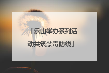 乐山举办系列活动共筑禁毒防线