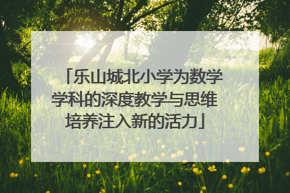 乐山城北小学为数学学科的深度教学与思维培养注入新的活力
