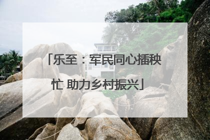 乐至：军民同心插秧忙 助力乡村振兴