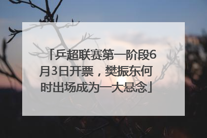 乒超联赛第一阶段6月3日开票，樊振东何时出场成为一大悬念