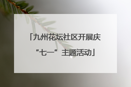 九州花坛社区开展庆“七一”主题活动