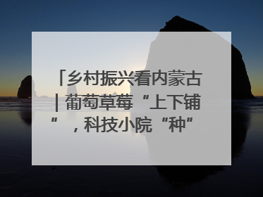 乡村振兴看内蒙古｜葡萄草莓“上下铺”，科技小院“种”出三倍效益