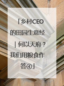 乡村CEO的田园生意经｜何以天府？我们用粮食作答④
