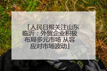 人民日报关注山东临沂：外贸企业积极布局多元市场 从容应对市场波动