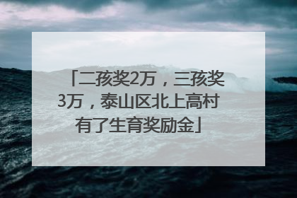二孩奖2万，三孩奖3万，泰山区北上高村有了生育奖励金