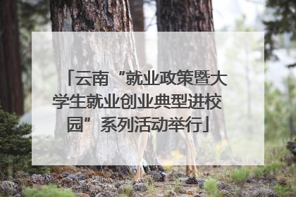 云南“就业政策暨大学生就业创业典型进校园”系列活动举行