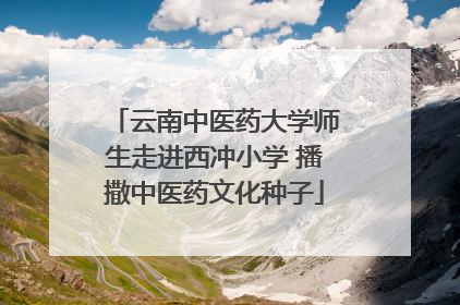 云南中医药大学师生走进西冲小学 播撒中医药文化种子