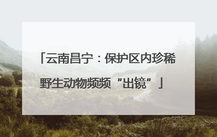 云南昌宁：保护区内珍稀野生动物频频“出镜”