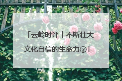 云岭时评丨不断壮大文化自信的生命力②