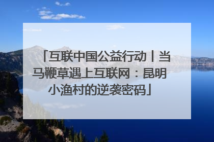 互联中国公益行动丨当马鞭草遇上互联网：昆明小渔村的逆袭密码