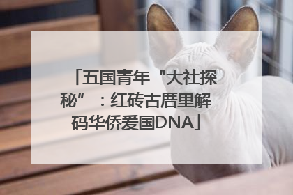 五国青年“大社探秘”：红砖古厝里解码华侨爱国DNA