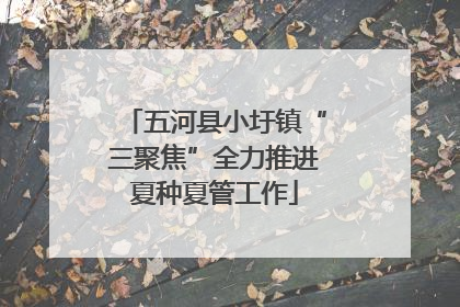 五河县小圩镇“三聚焦”全力推进夏种夏管工作