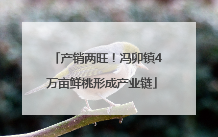 产销两旺！冯卯镇4万亩鲜桃形成产业链