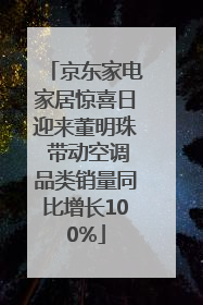 京东家电家居惊喜日迎来董明珠 带动空调品类销量同比增长100%