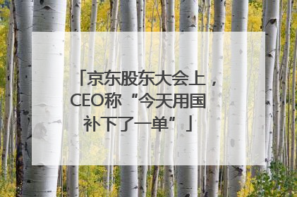 京东股东大会上，CEO称“今天用国补下了一单”