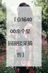京城4000余个果园迎接采摘客