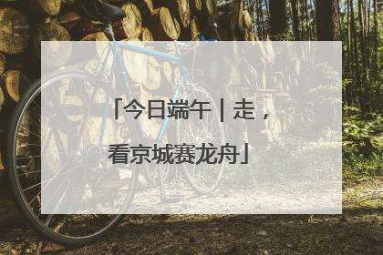 今日端午｜走，看京城赛龙舟