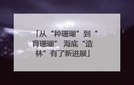 从“种珊瑚”到“育珊瑚” 海底“造林”有了新进展