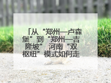 从“郑州—卢森堡”到“郑州—吉隆坡” 河南“双枢纽”模式如何走向全球