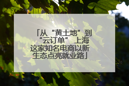 从“黄土地”到“云订单” 上海这家知名电商以新生态点亮就业路